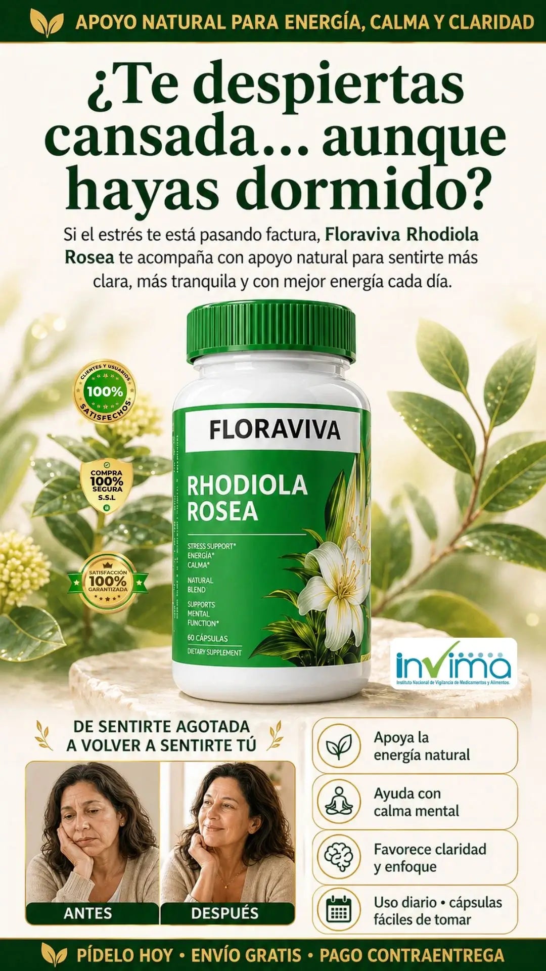 Floraviva Rhodiola Rosea