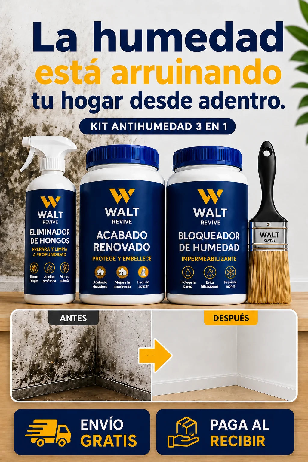 Kit Anti-Humedad 3 en 1