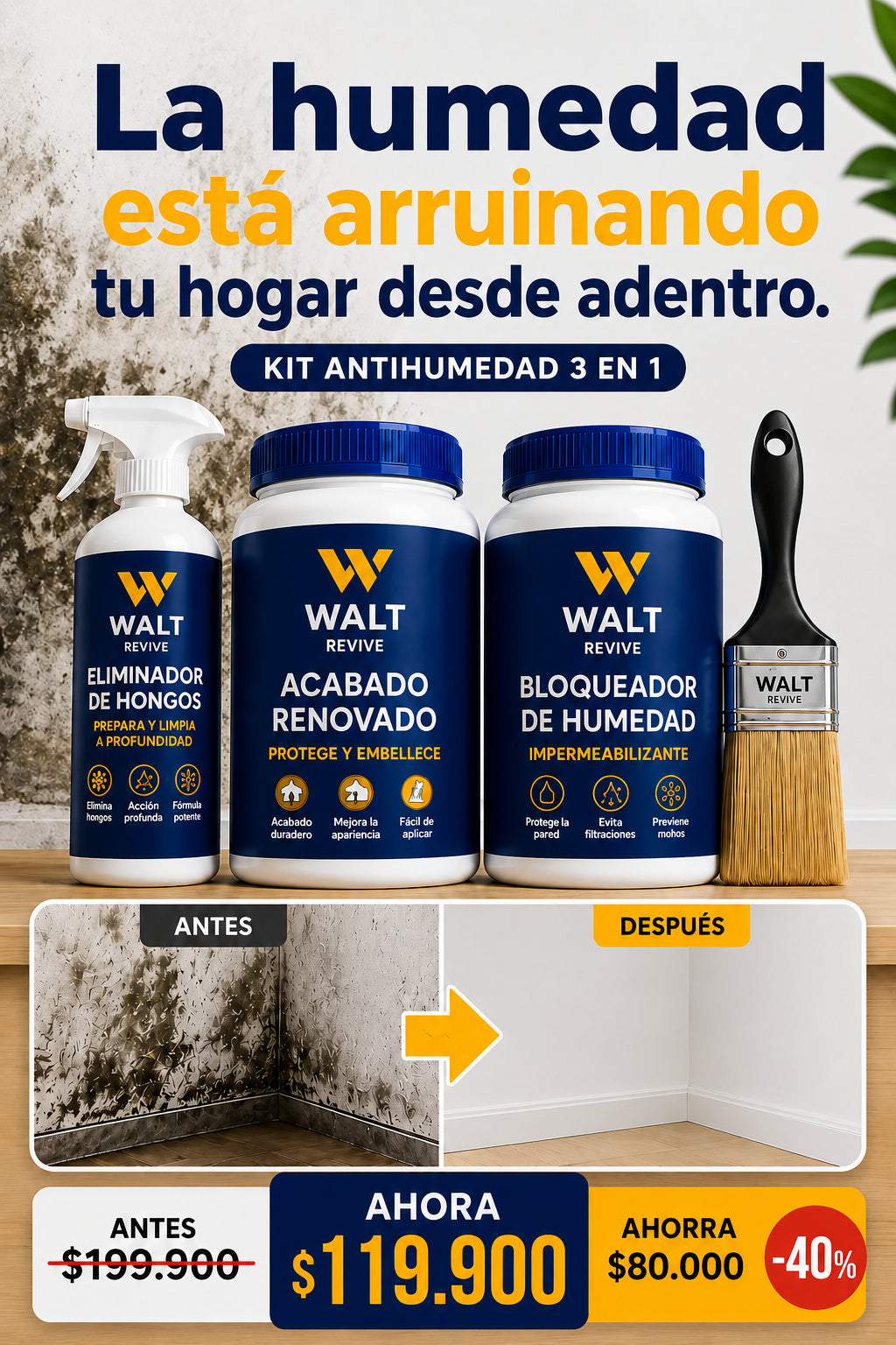 Kit Anti-Humedad 3 en 1