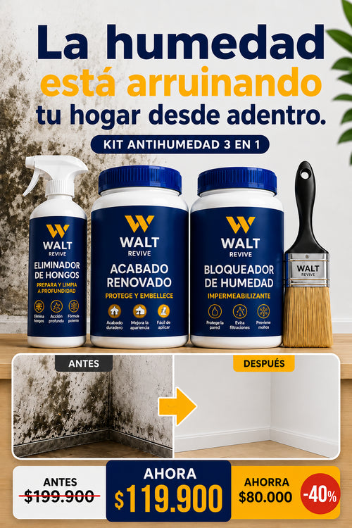 Kit Anti-Humedad 3 en 1
